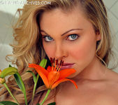 Jesse Capelli - Orange Lily 4