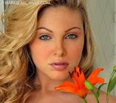 Jesse Capelli - Orange Lily 16