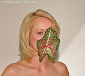 Melissa - Leaf 13