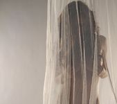 Lily poses behind a sheer curtain and teases 4