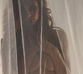 Lily poses behind a sheer curtain and teases 5