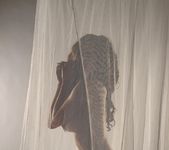 Lily poses behind a sheer curtain and teases 6