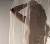 Lily poses behind a sheer curtain and teases 10