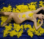 Nicollet - Mellow Yellow - Erotic Beauty