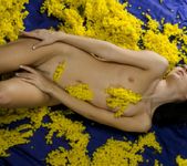 Nicollet - Mellow Yellow - Erotic Beauty 6