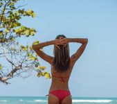 Gina Gerson - Red Bikini 11