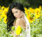 Barbara Desiree: Summer Sunflower 4