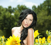 Barbara Desiree: Summer Sunflower 8