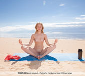 Nude Yoga - Lee D. - Femjoy 8