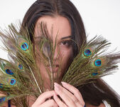 DenudeArt - Franzisca in My Feathers" 4