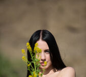Veronica Snezna - Sunbathing - Erotic Beauty 15