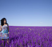 Maliko - Lavender Dreams - Erotic Beauty