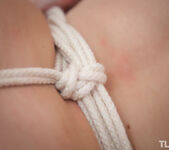 Lady Bug - Knot 1 - The Life Erotic 15
