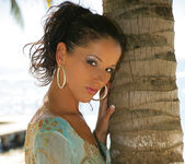 Palms - Angel Dark - Watch4Beauty