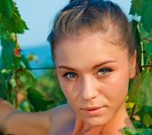 The Wine Expert - Natalia E. 9