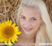 Sunflower - Vika D. - Femjoy