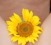 Sunflower - Vika D. - Femjoy 11