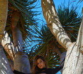 Agatha Vega: Palm Tree - Watch4Beauty 11