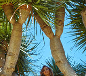 Agatha Vega: Palm Tree - Watch4Beauty 18