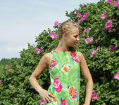 Cliantha M - Cliantha - Flower Dress and Sand - Stunning 18 4