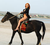 Euphrosyne E - Euphorosyne - A Horse Ride - Stunning 18