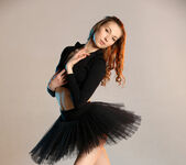 Annett A - Black Swan - Stunning 18 6