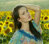Izolda M - Izolda - Field of Sunflowers - Stunning 18 5