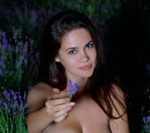 Martina Mink - Lavender Sunset - MetArt 20
