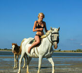 Larissa H - Larissa - Riding by the Beach - Stunning 18