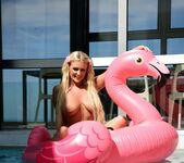 Lycia Sharyl - Floating Flamingo 14