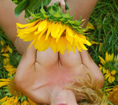 Hypatia K - Hypatia - Big Sunflowers - Stunning 18 11