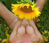 Hypatia K - Hypatia - Big Sunflowers - Stunning 18 12
