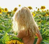 Hypatia K - Hypatia - Big Sunflowers - Stunning 18 16