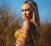 Beth Morgan - Fields With Gold 4