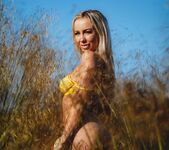 Beth Morgan - Fields With Gold 5