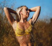 Beth Morgan - Fields With Gold 8