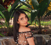 Abbie London - Tropic Tease - MetArt