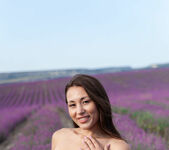 Sumiko - Lavender Fields - MetArt 8