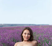 Sumiko - Lavender Fields - MetArt 13