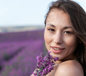 Sumiko - Lavender Fields - MetArt 17