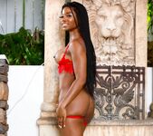 Mya Mays - Black to Basics - Scene 4 - Zero tolerance 7