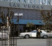 Enjoying the life in Las Vegas - Jane Svensson