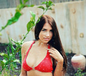 Niemira - DACHA - Eternal Desire 4