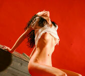 Voleta F - Voleta - Old Trunk - Stunning 18 12