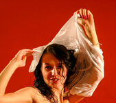 Voleta F - Voleta - Old Trunk - Stunning 18 15