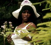 The tempestuous girl from Seychelles - Jackie Black