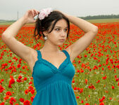 Cara Q - Cara - Field of Red Roses - Stunning 18