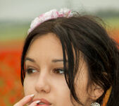 Cara Q - Cara - Field of Red Roses - Stunning 18 4