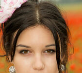 Cara Q - Cara - Field of Red Roses - Stunning 18 5