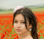 Cara Q - Cara - Field of Red Roses - Stunning 18 7